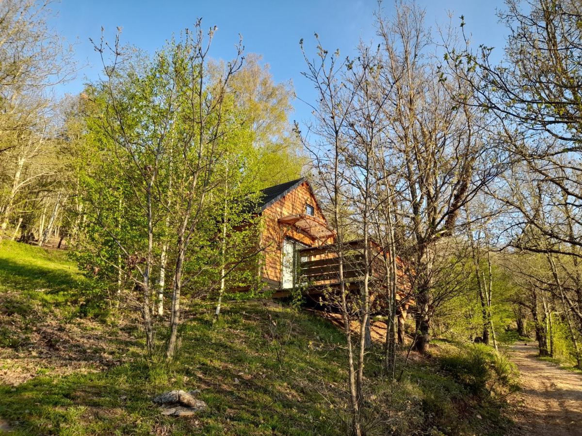 Mon Au Coeur Des Cevennes *